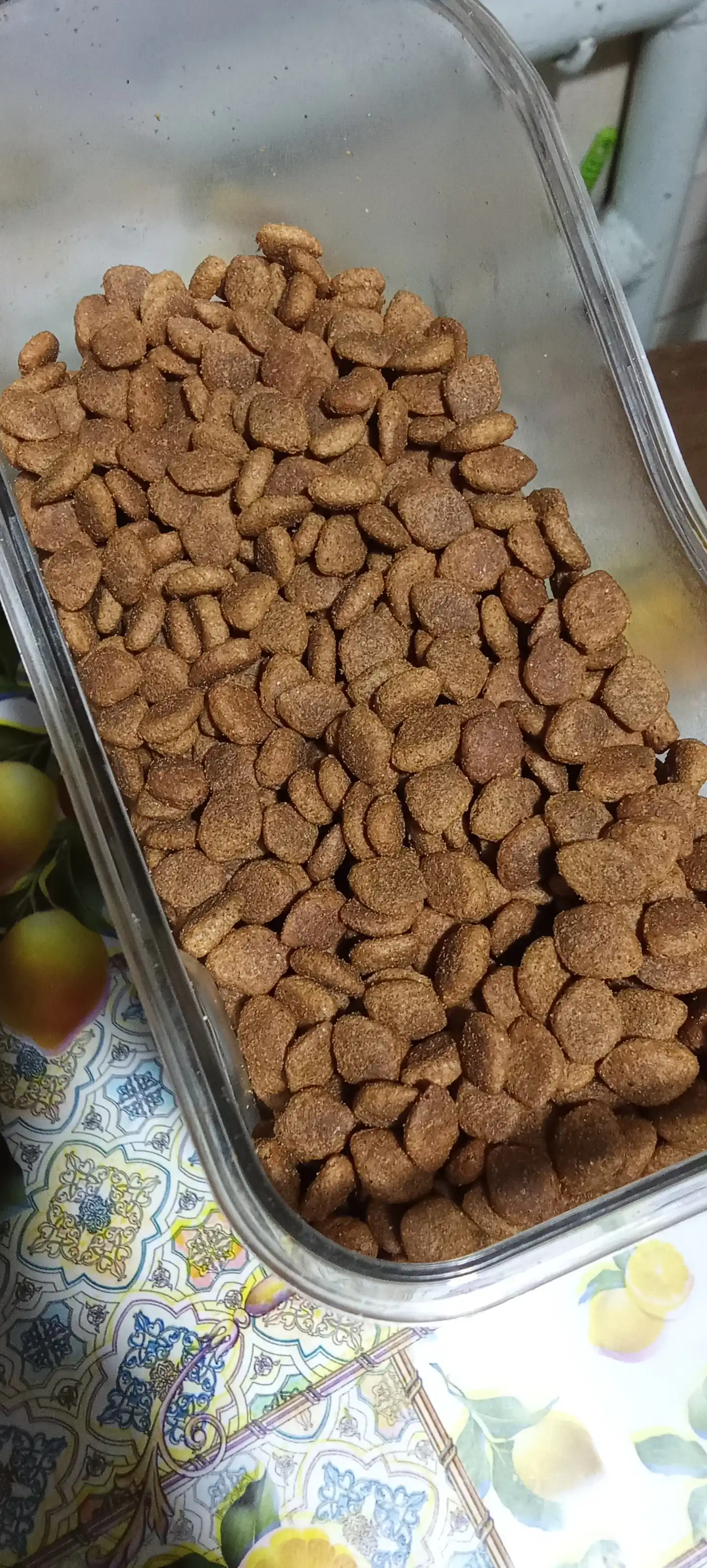 Trendline Premium katta yoshli mushuklar uchun qo‘zichoq go‘shtli quruq yem, 1 kg