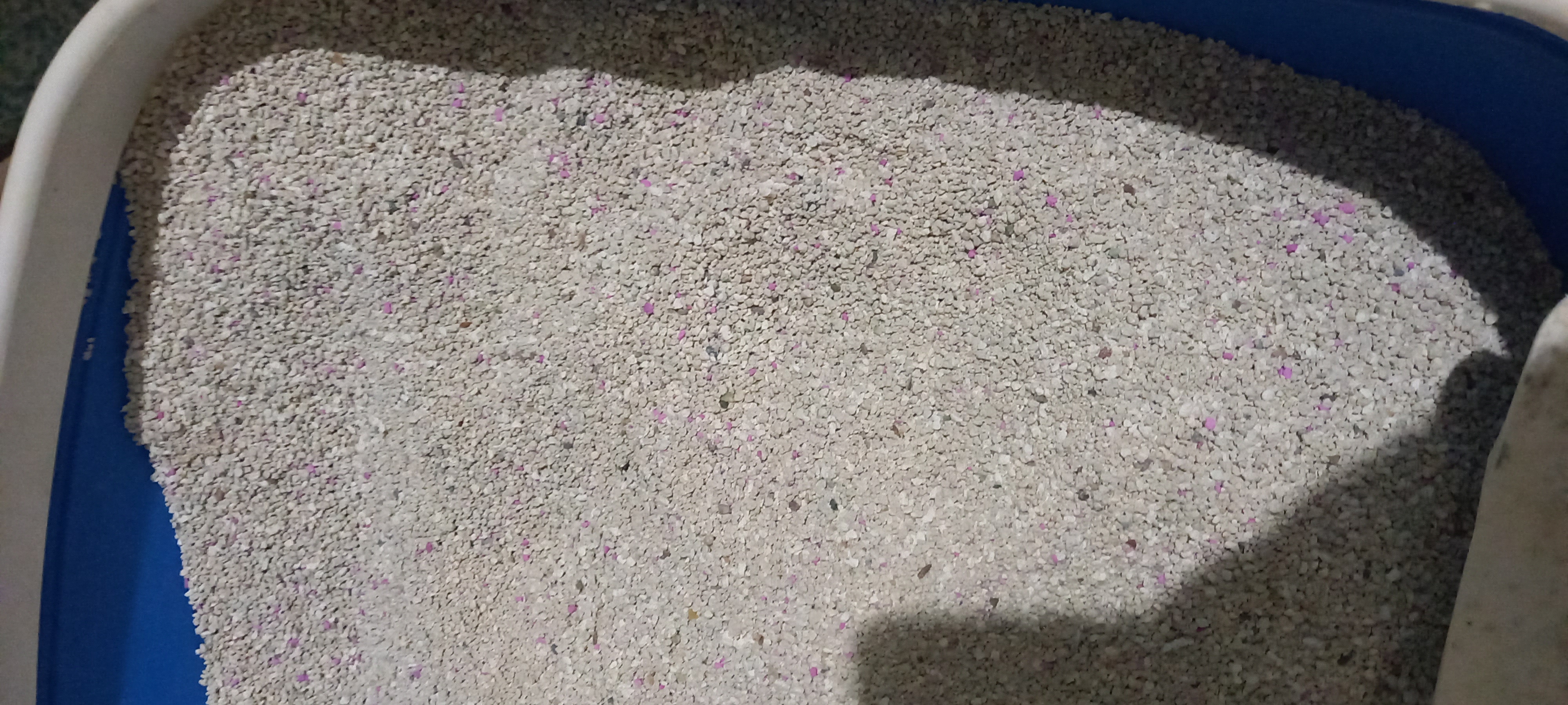 Proline bentonit, bolalar kukuni aromati bilan, 8.5 kg