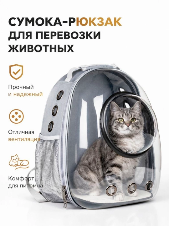 Современный рюкзак с космическим дизайном путешествуйте с вашим питомцем с комфортом