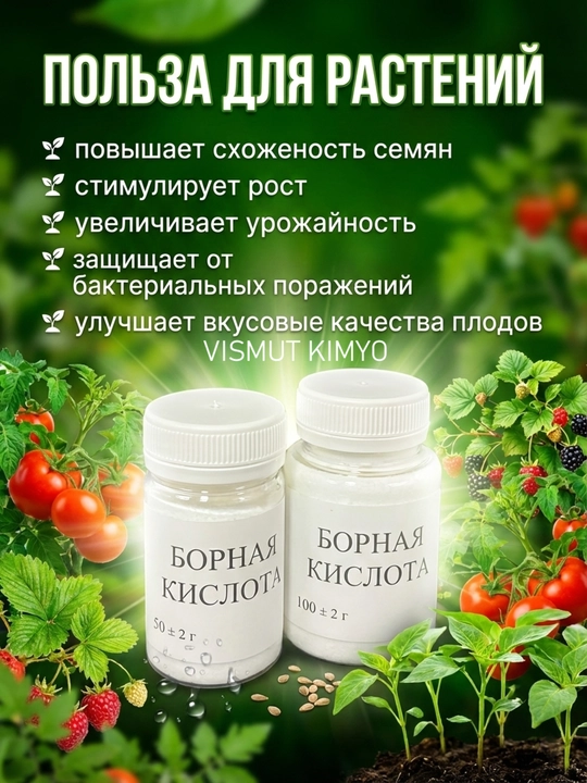 Borik kislotasi - 
