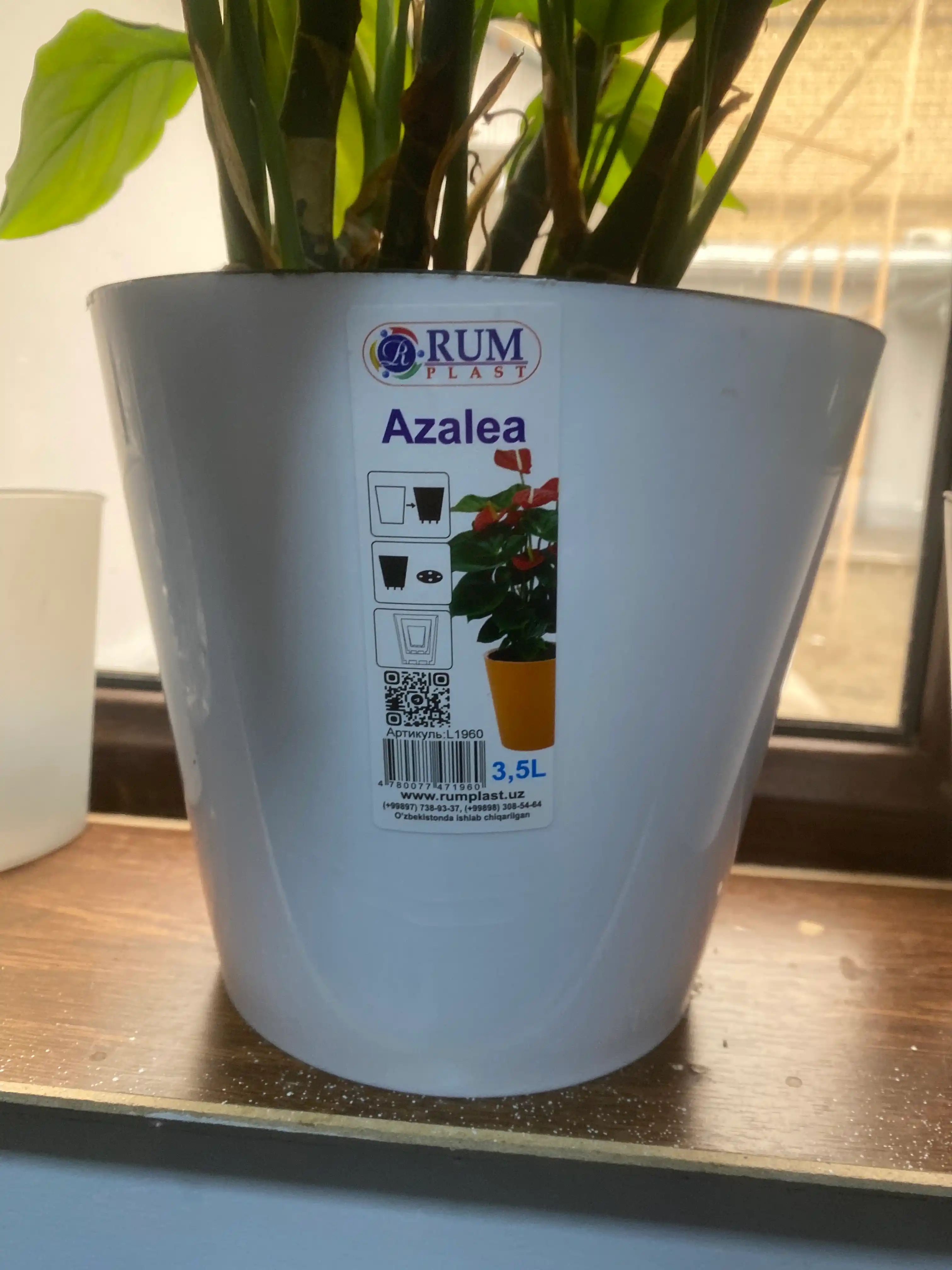Drenajli gul idishi Azalea, plastmassa 0,7, 1,5, 3,5, 5,5, 10 l