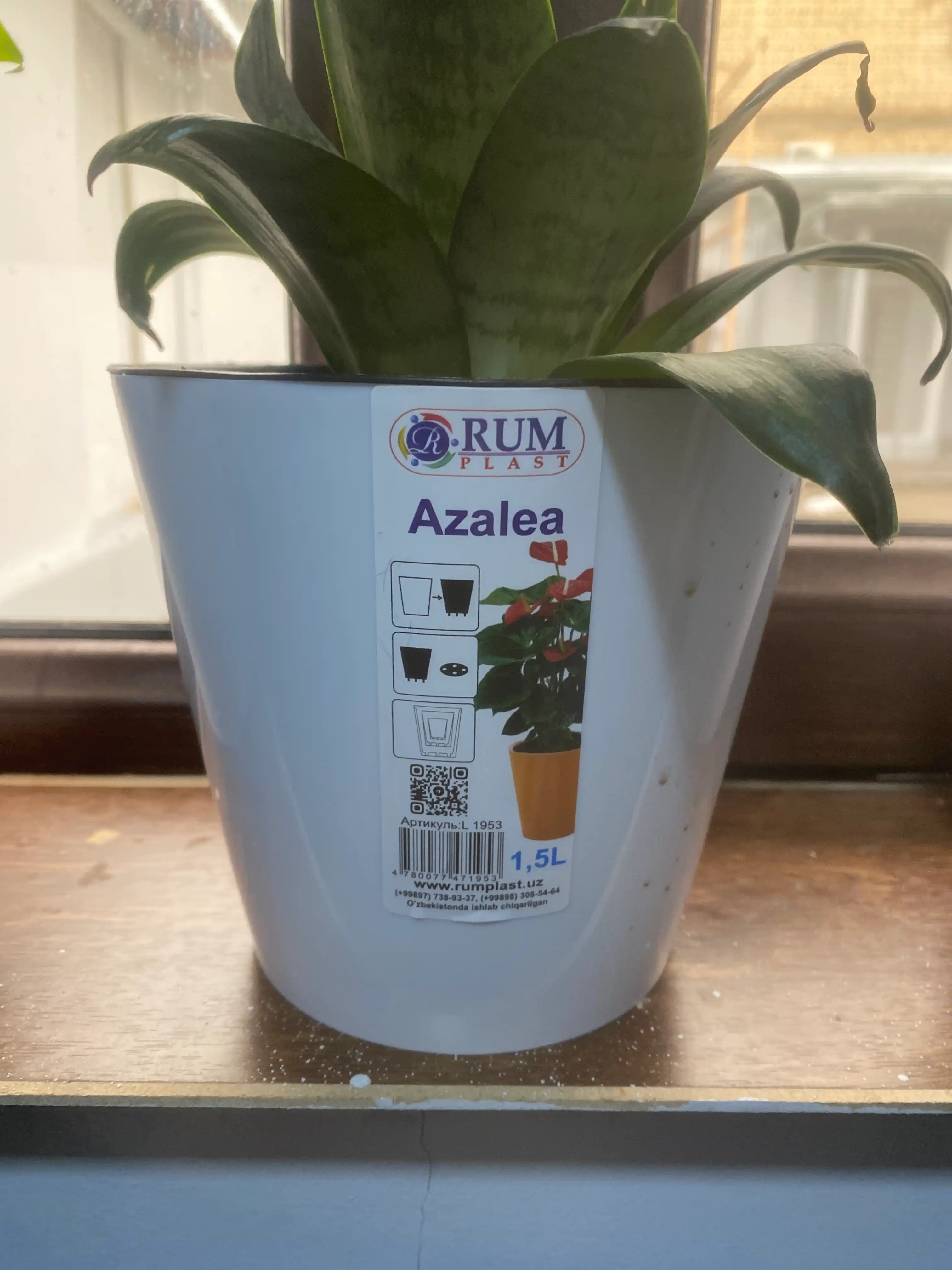 Drenajli gul idishi Azalea, plastmassa 0,7, 1,5, 3,5, 5,5, 10 l