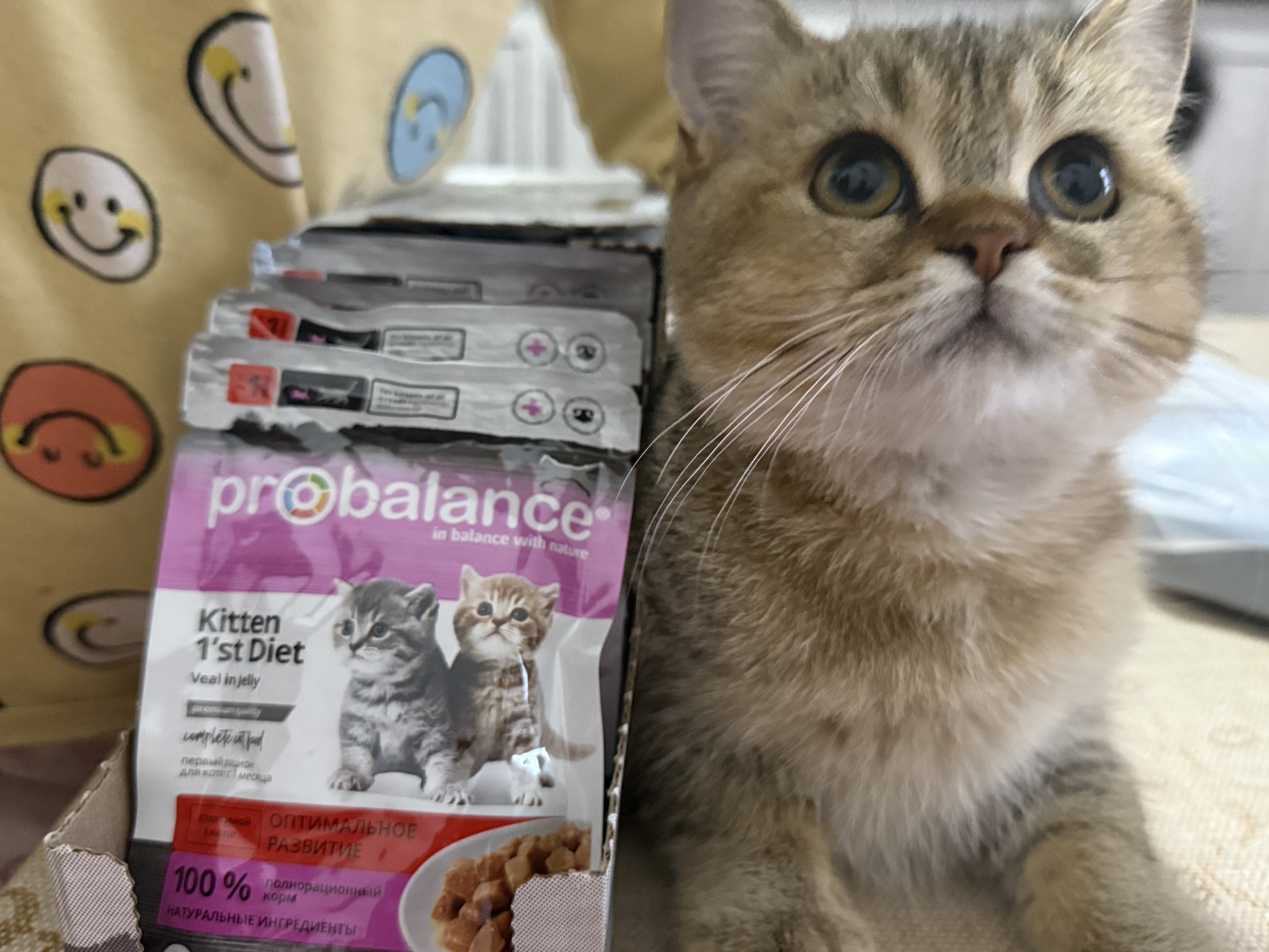 ProBalance  mushukchalar uchun nam yem, buzoq goʻshtli jele, 85 gr, 28 dona
