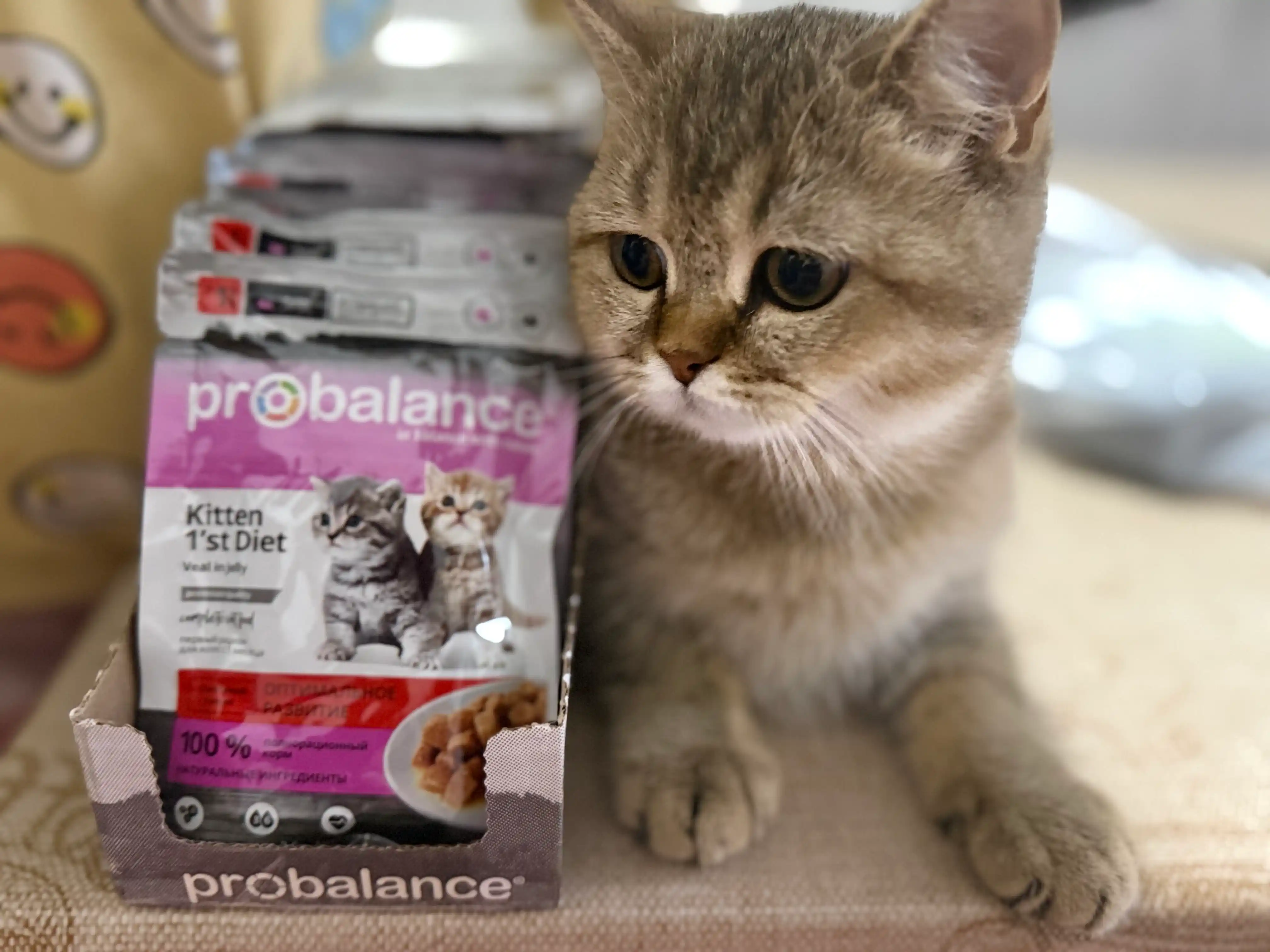ProBalance  mushukchalar uchun nam yem, buzoq goʻshtli jele, 85 gr, 28 dona