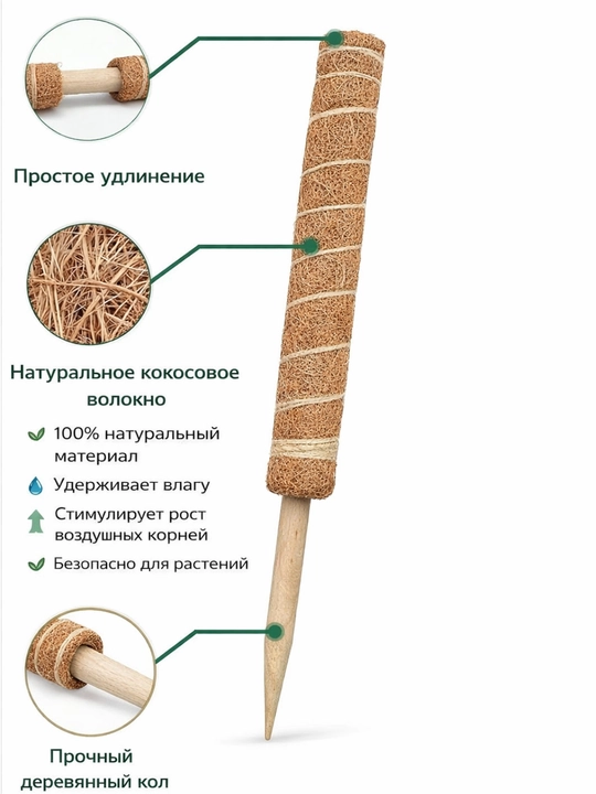 Kokosli tayanch