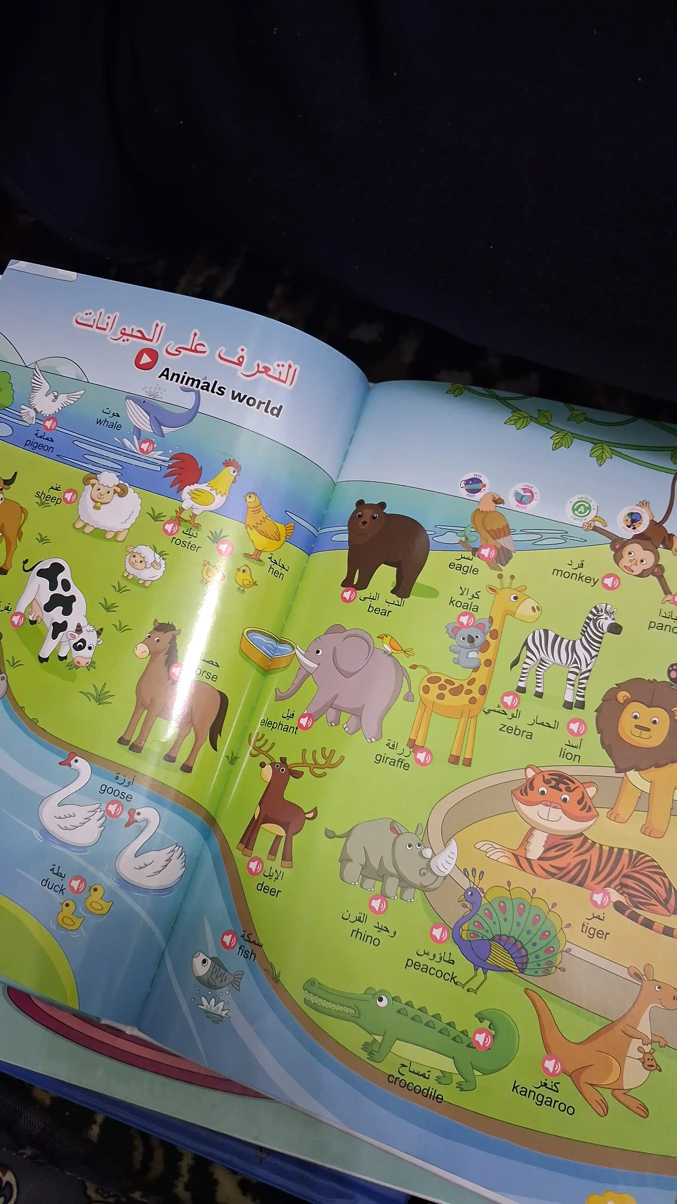 So‘zlashuvchi kitobcha, interaktiv, turli tillarda