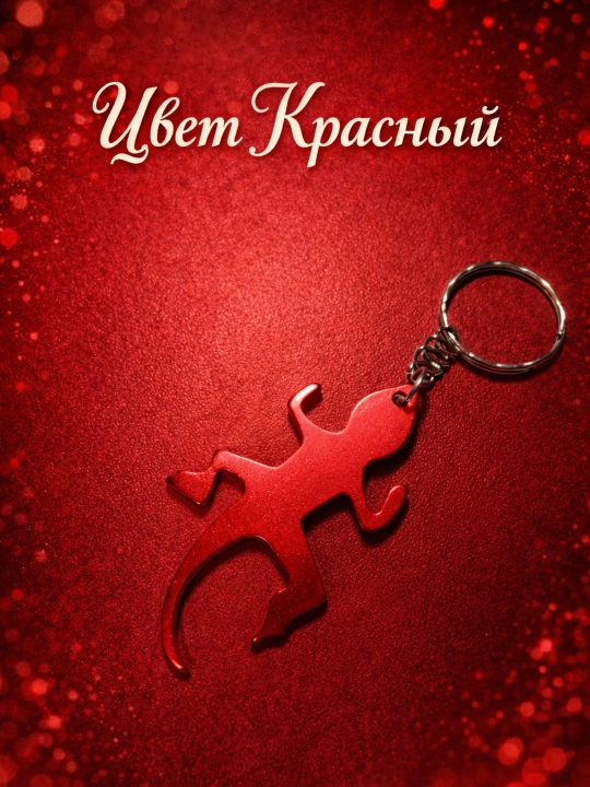 Zanglamaydigan qotishmadan yasalgan brelok-ochqich - 