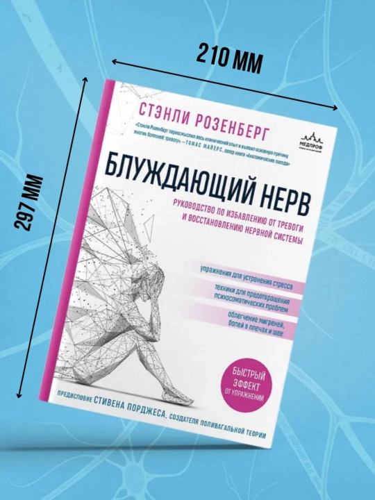 Блуждающий нерв. Розенберг Стэнли (Формат А4)