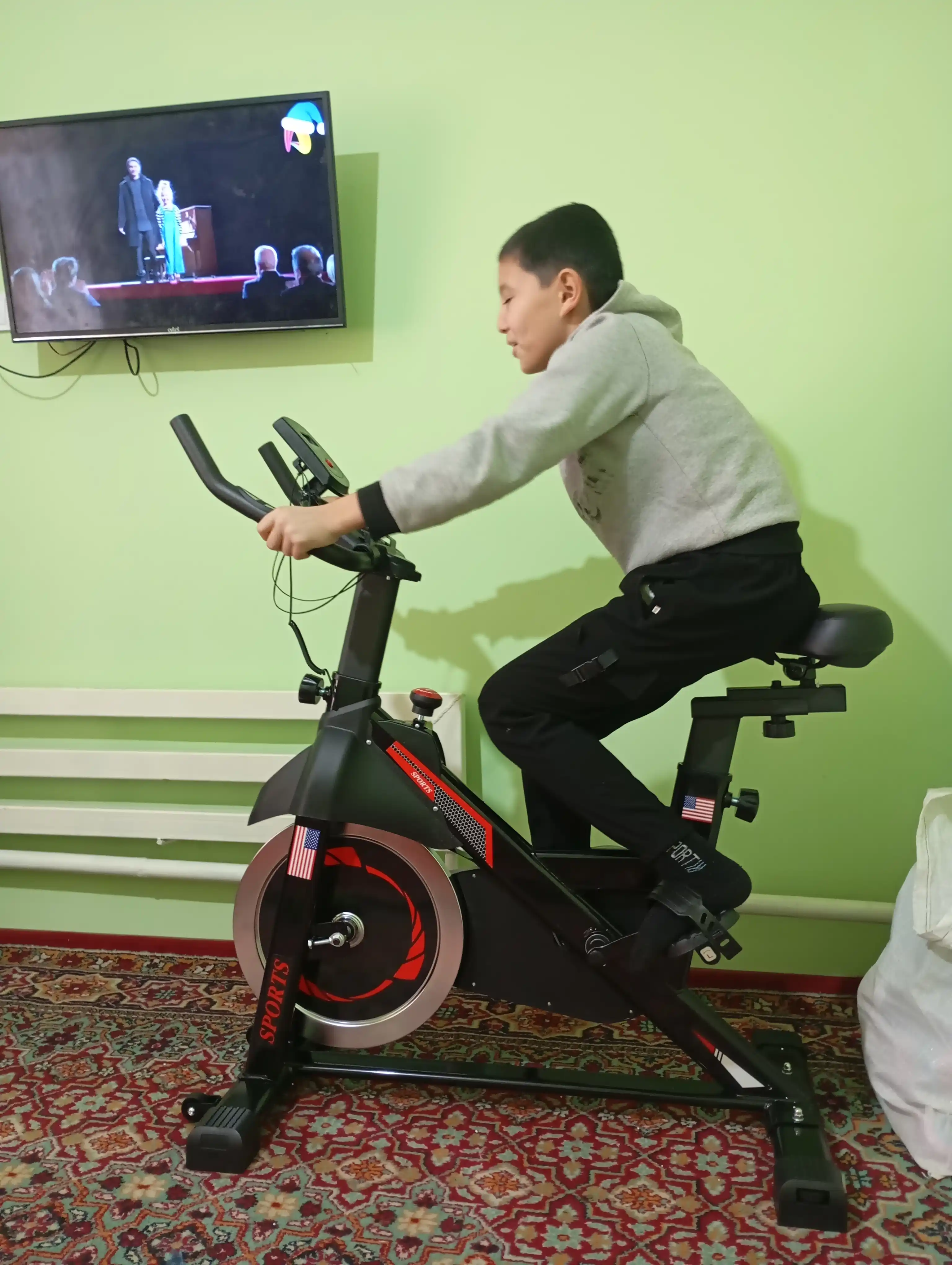 Велотренажер ZEN FIT, спин-байк домашний, велотренажер для ног, кардио, нагрузка до 120 кг
