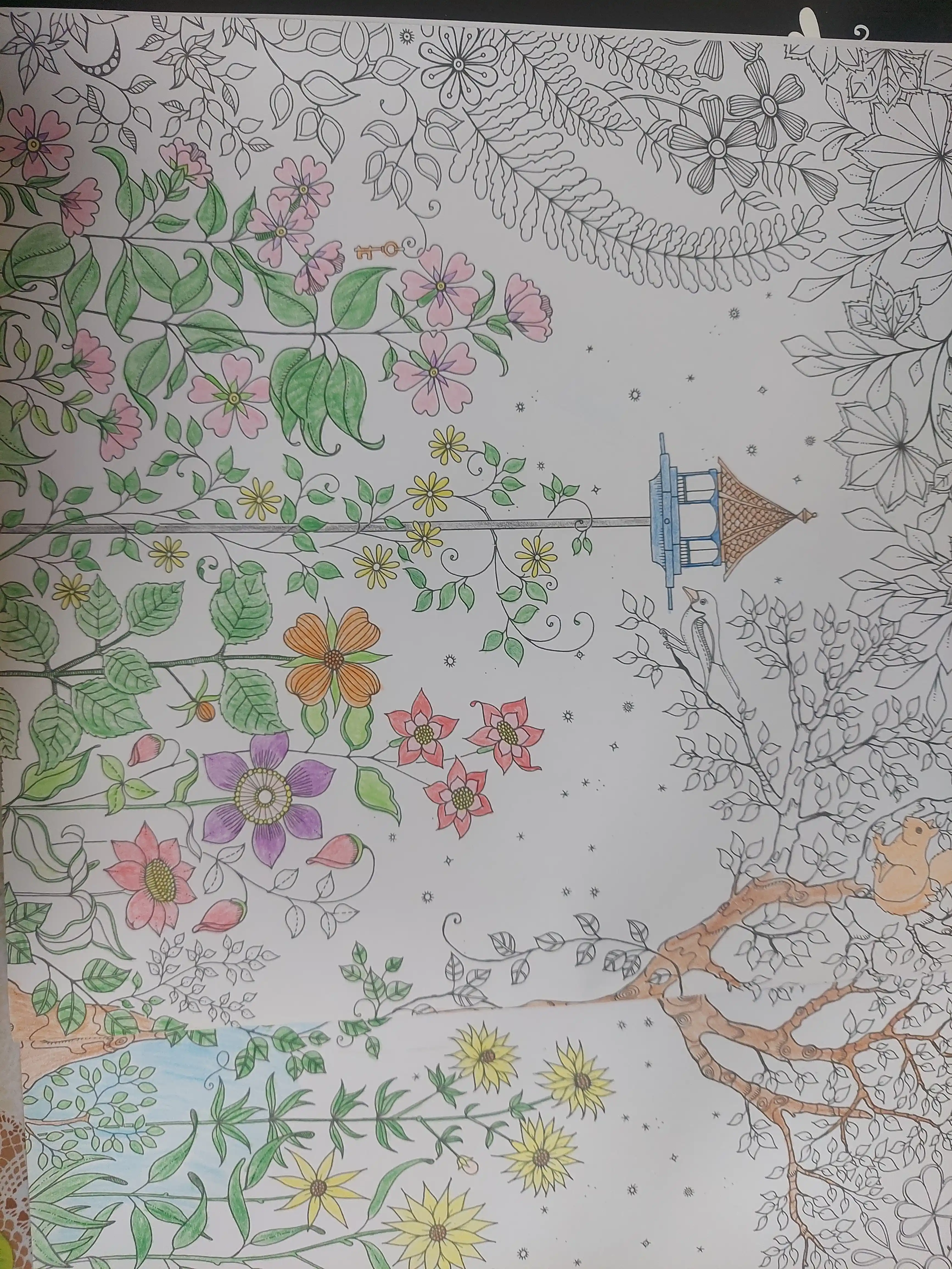 Mandala, anti-stress, boyash kitobi, raskraska, kattalar uchun, 96 bet, Secret garden