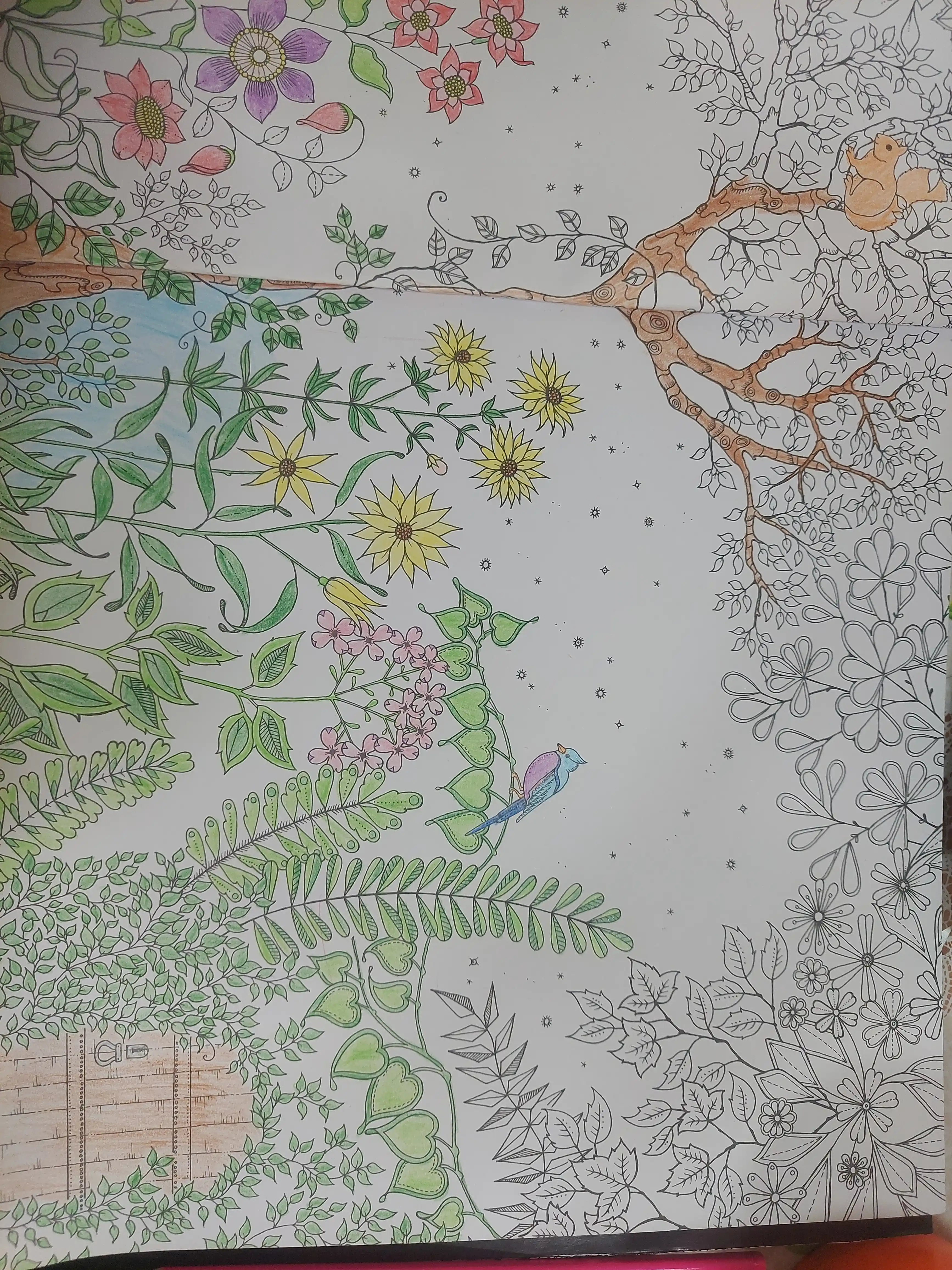 Mandala, anti-stress, boyash kitobi, raskraska, kattalar uchun, 96 bet, Secret garden
