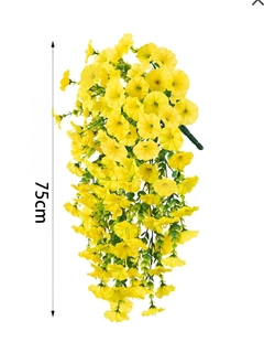 Limon rang