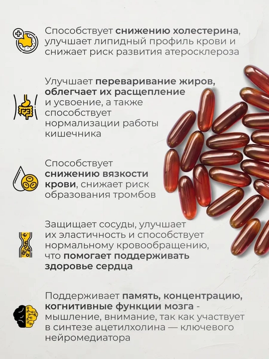 Kungaboqar letsitini, VitaMeal, jigar uchun vitaminlar, 2000 mg, 120 kapsula