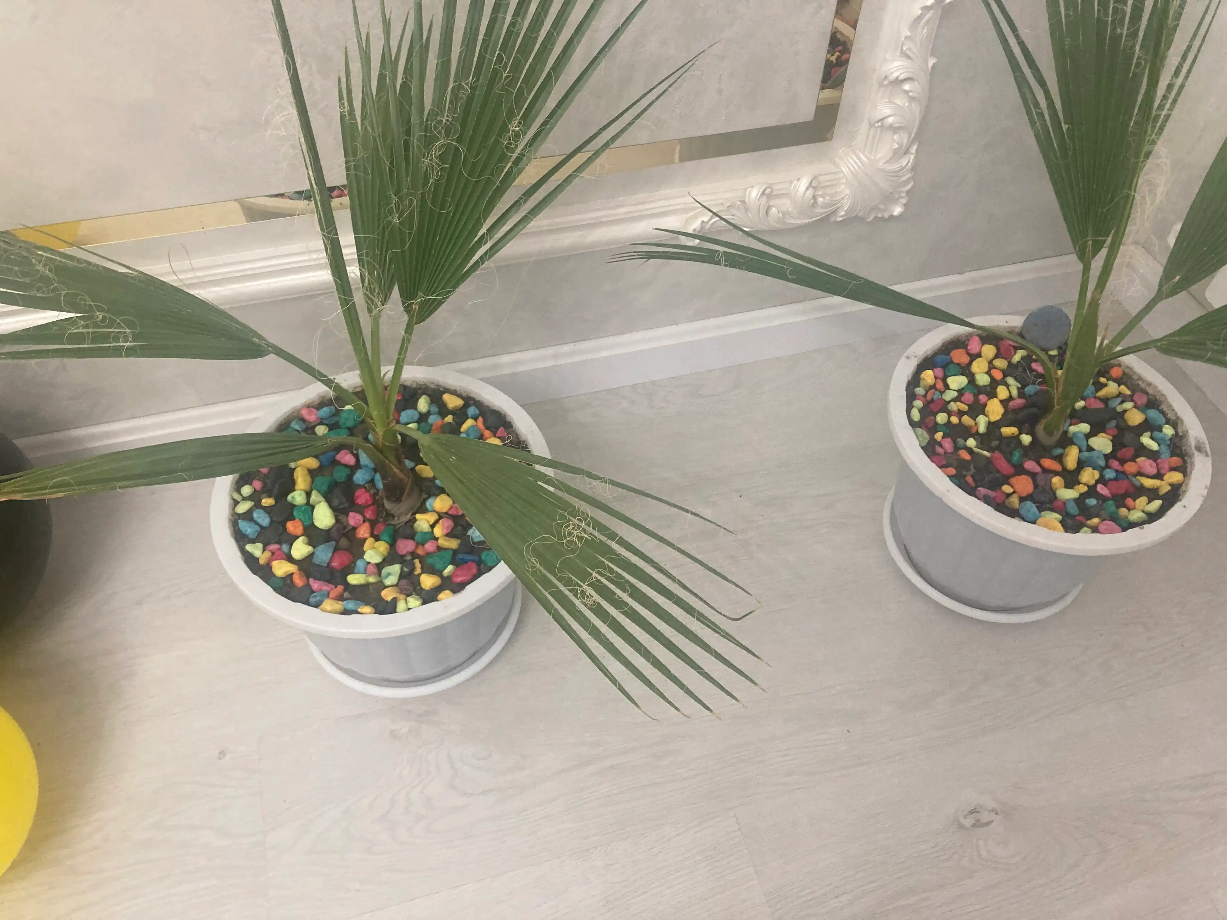 Dekor, landshaft, akvarium va gultuvaklarni bezash uchun tosh, rangli toshlar