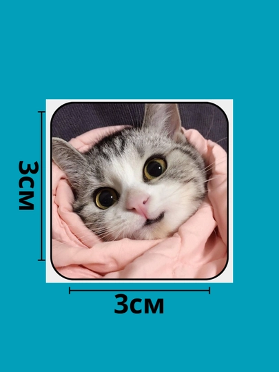 3D наклейка КОТЫ на телефон — 3DNAKL-КОТЫ1-ЗЕЛЕН