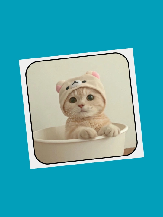 3D наклейка "Котики" на телефон