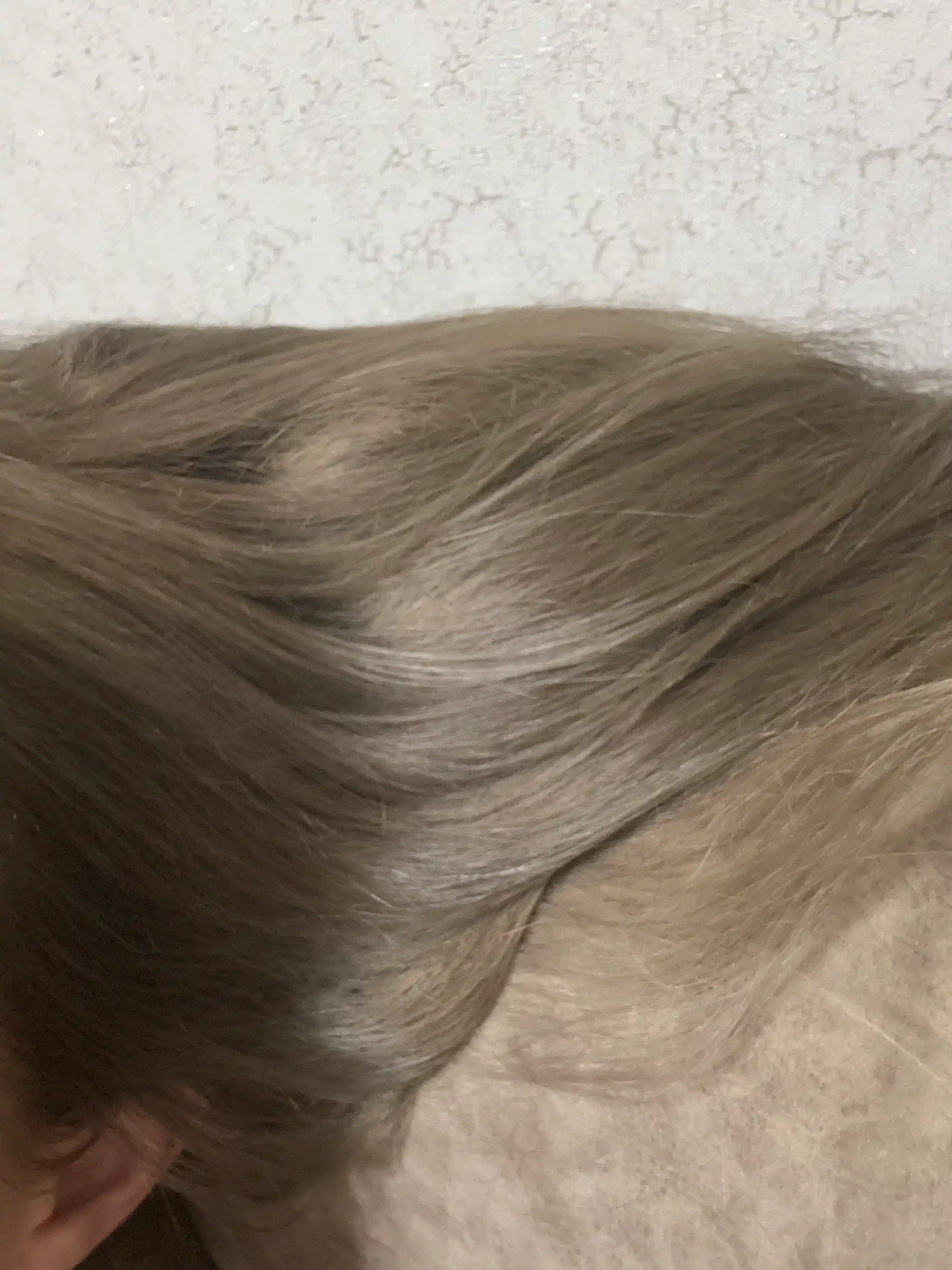 L'Oreal Paris Стойкая крем-краска для волос "Excellence", оттенок 7.1, Русый пепельный