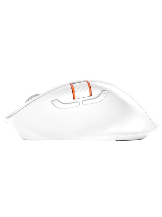 BTM032 2.4G + Bluetooth simsiz sichqonchasi, ko‘p rejimli va ergonomik tuzilishga ega