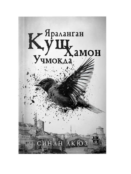Yaralangan qush hamon uchmoqda, Sinan Akyuz - 