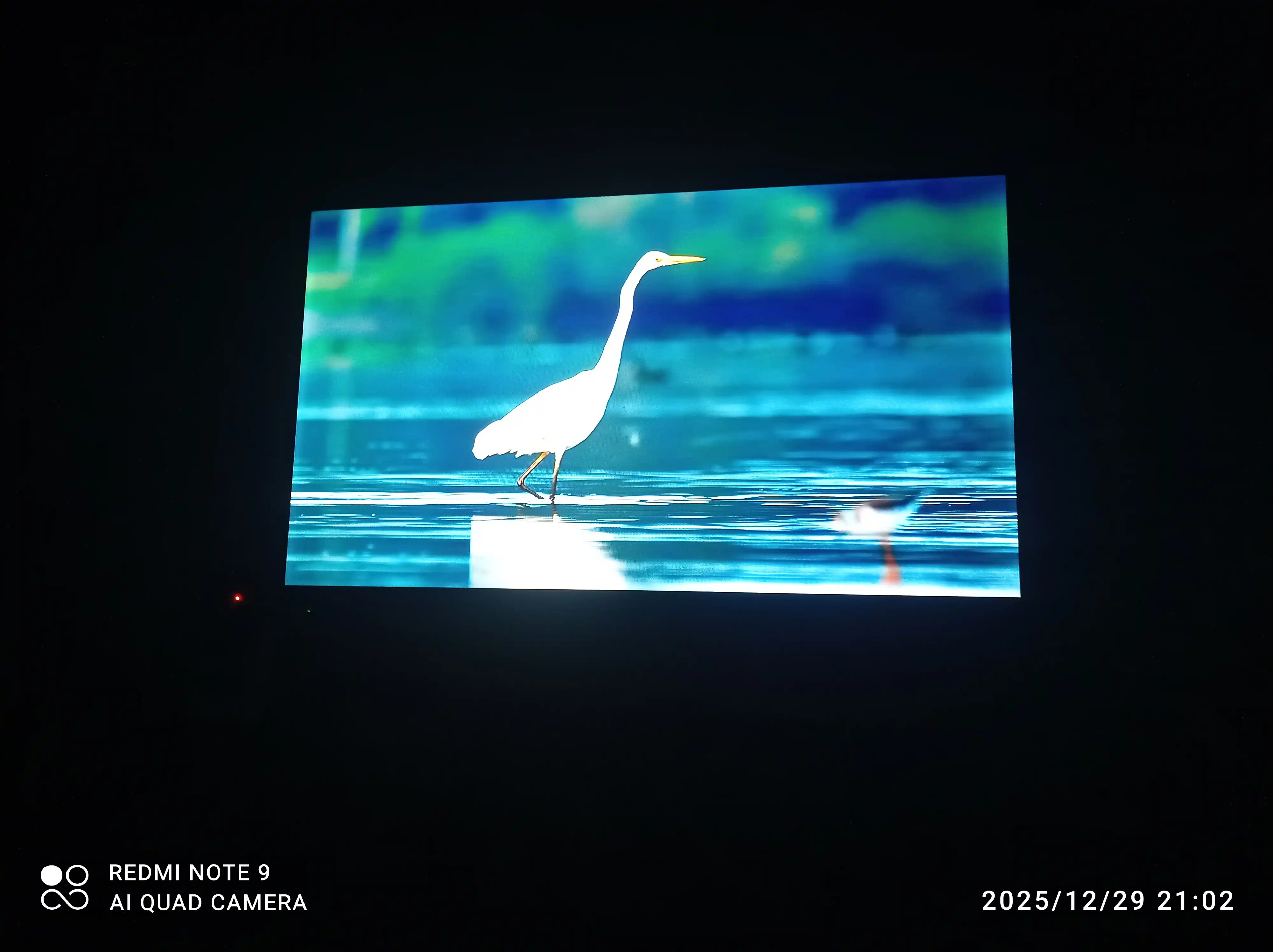 Смарт телевизор WellStars 32" / 43", Android, Wi-Fi, Full HD, LED TV, голосовой поиск
