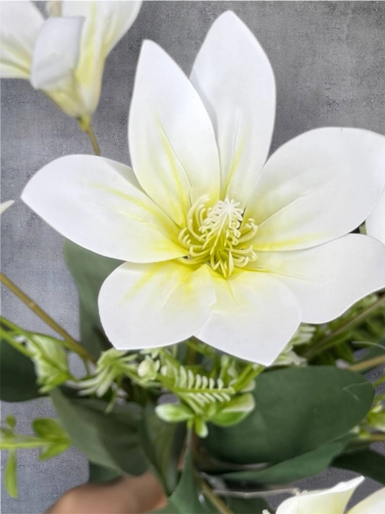 Sun’iy magnoliya