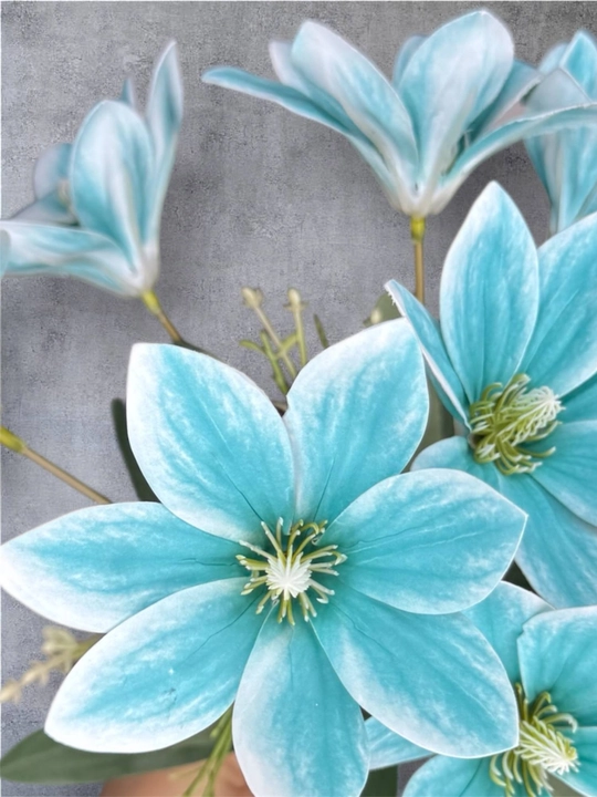 Sun’iy magnoliya