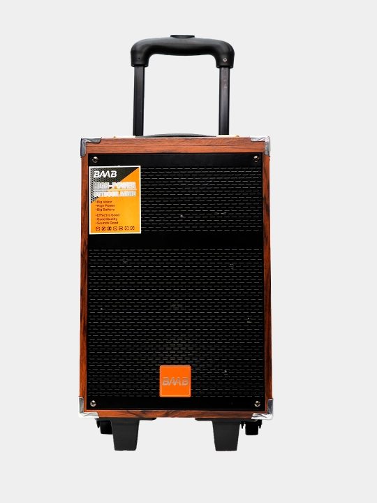 Karaoke kolonka NDR BAAB Q-12,Q-8 Bluetooth, RGB, pult va mikrofon bilan