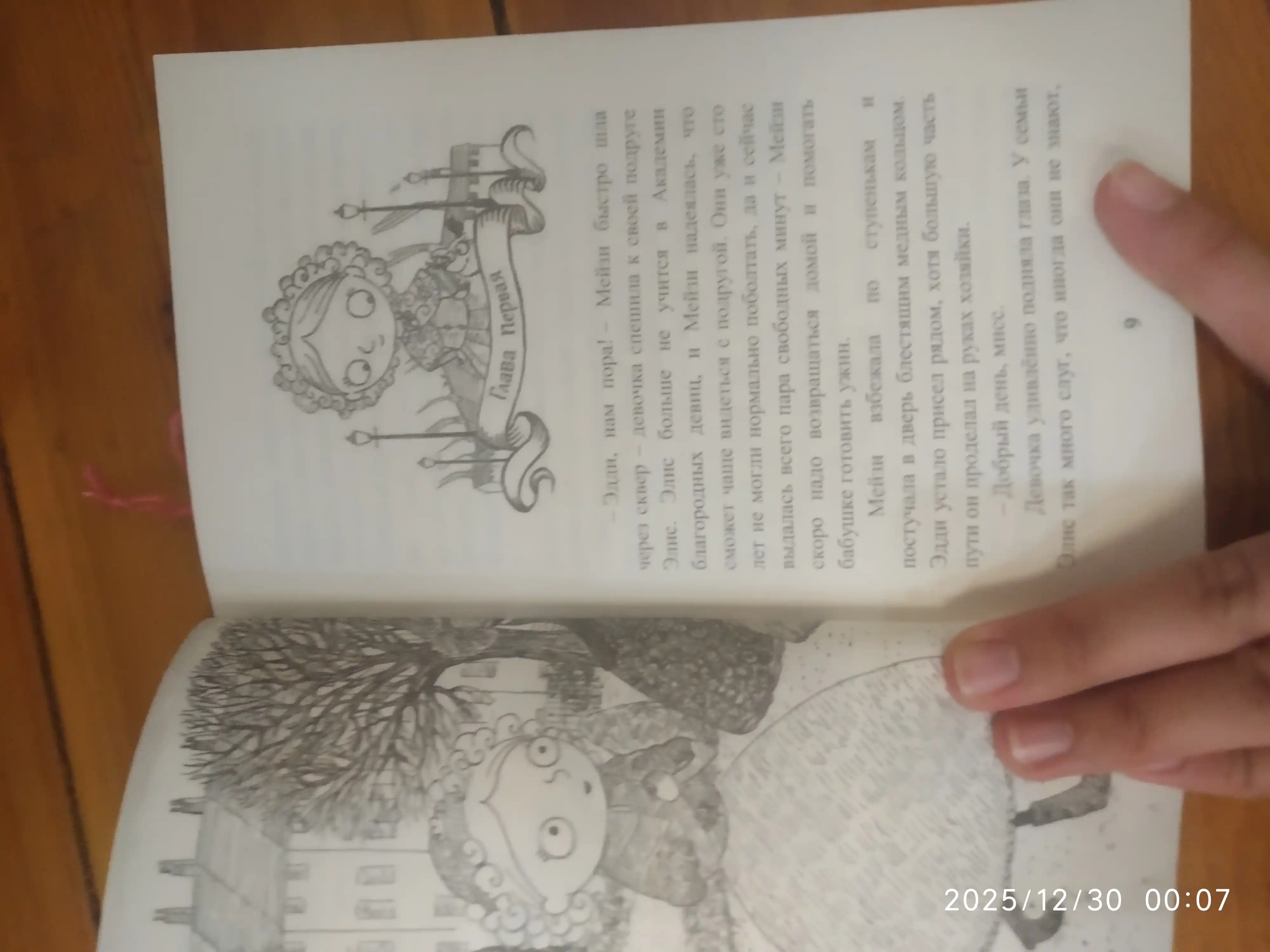 Meyzi Xitchins, Detskiy detektiv, Pochemu rusalka plachet #8, Vebb Xolli