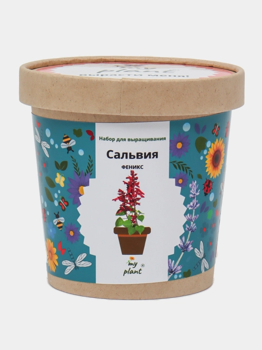 Набор для выращивания растений Happy Plants-Вырасти сам цветы