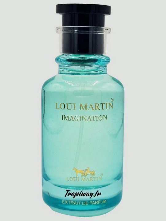 Loui Martin Imagination duxi erkaklar uchun, sitrusli fujer 100 ml BAA