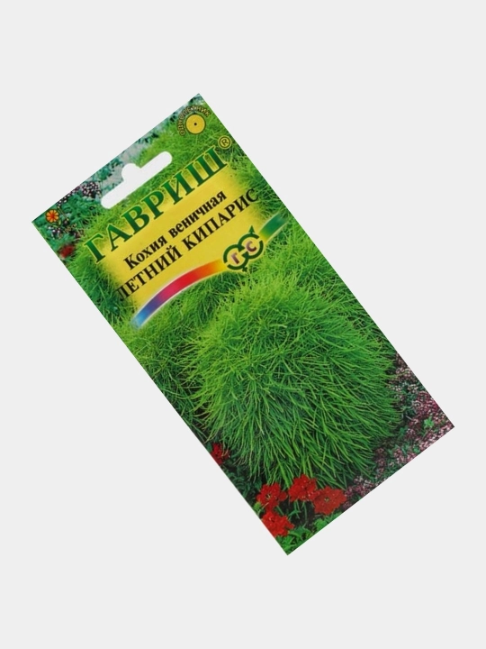 Gul urug'lari Delfinium, Koxiya, Petunya, Vasilyok - 