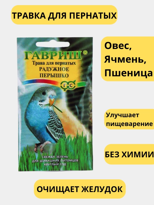 Семена. Трава для кошек, попугаев, грызунов