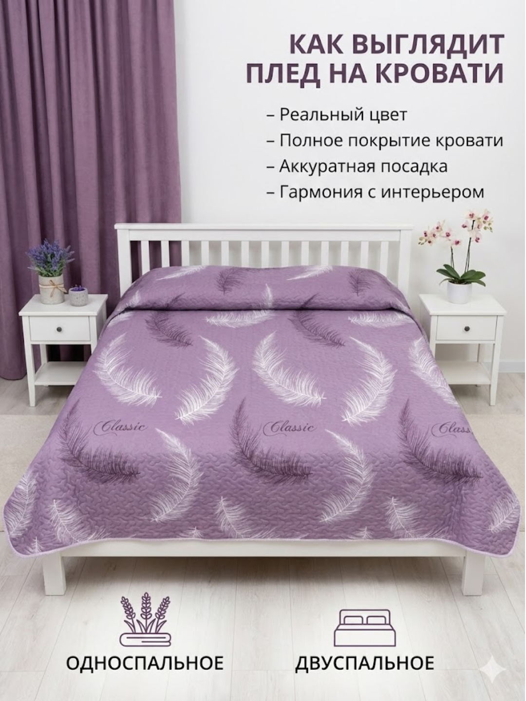 Lavanda
