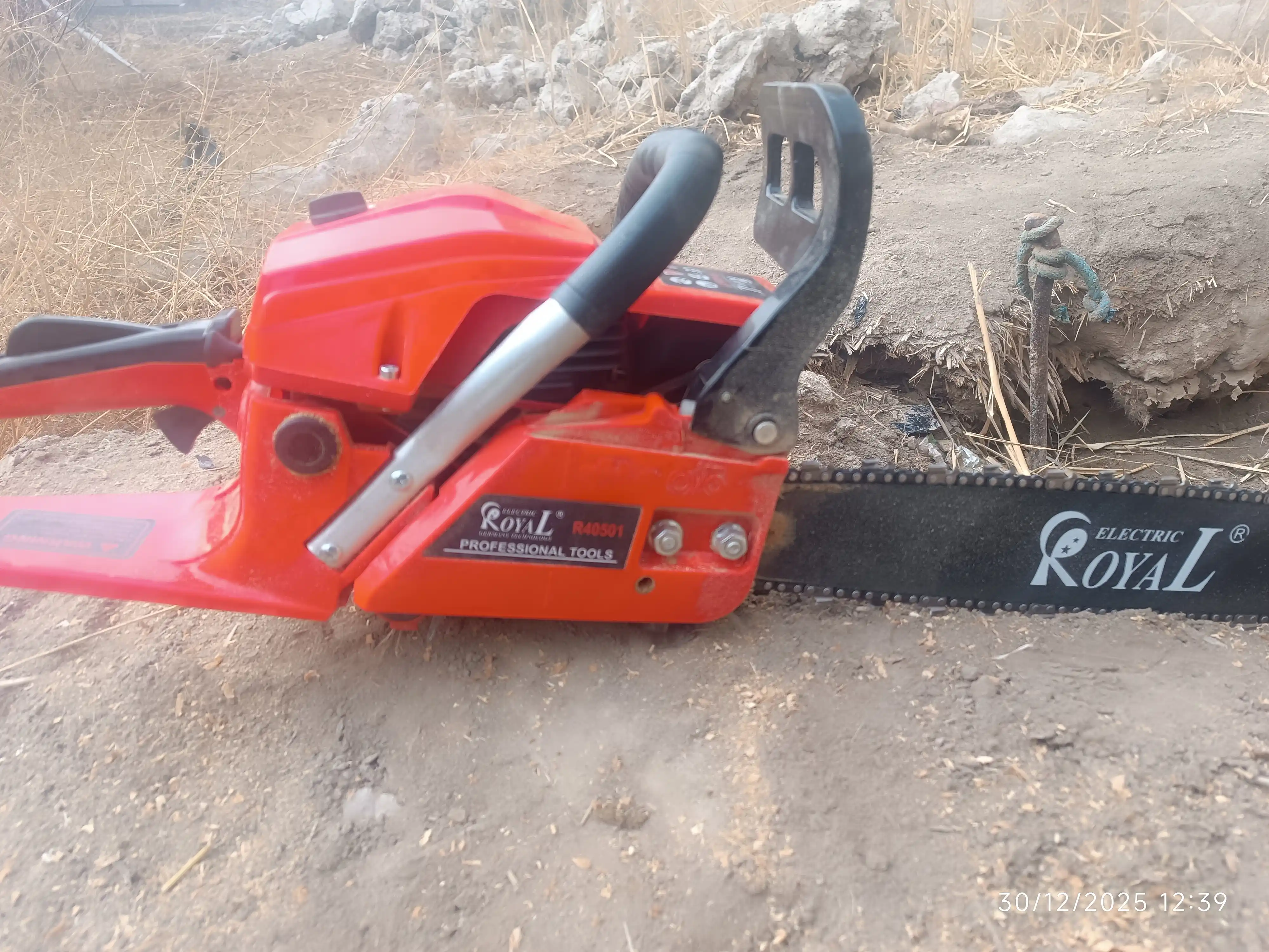 Benzinli motorli zanjirli arra ROYAL R40501, 2000 Vt
