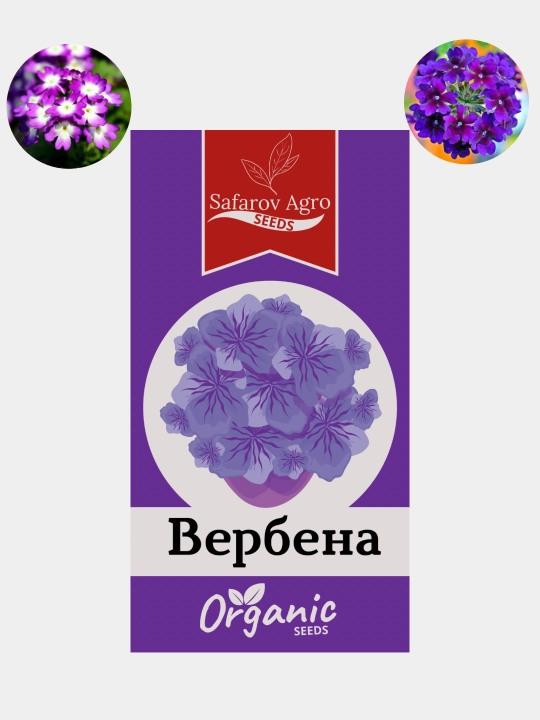 Gul urug'lari Coreopsis, Morning Glory, Moychechak, Aster, Verbena, chinnigullar, Dahlia