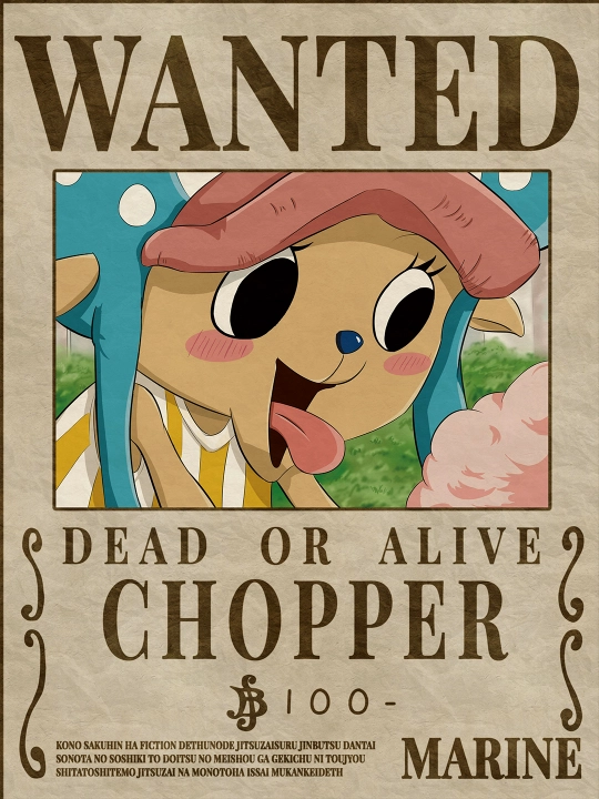 Yangi posterlar paydo bo’ldi! A4 formatli laminatsiyalangan plakatlar, One Piece Van Pis