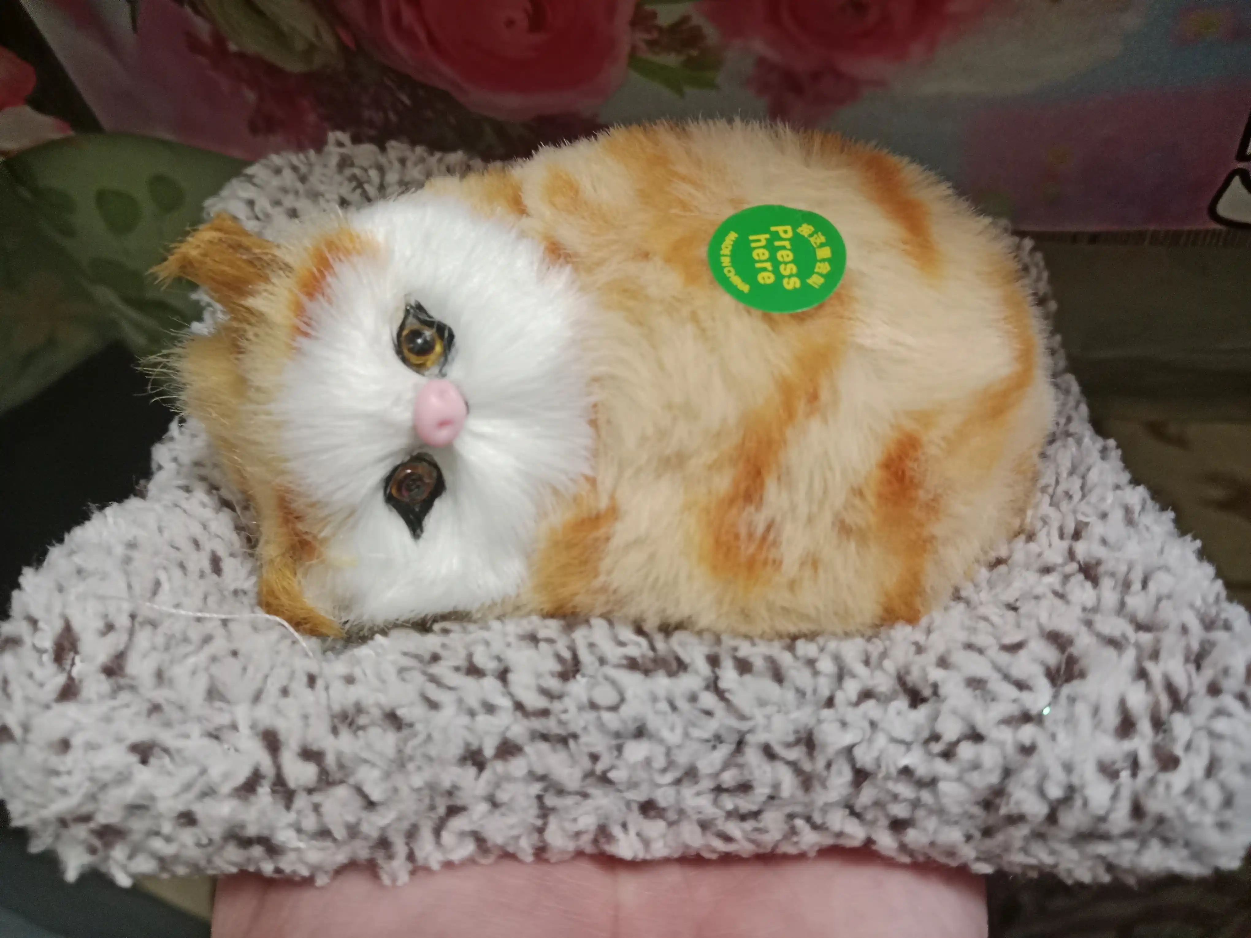 Suvenir, mushukcha va ovoz effektlari bilan gilamcha ustida mushuk kichik