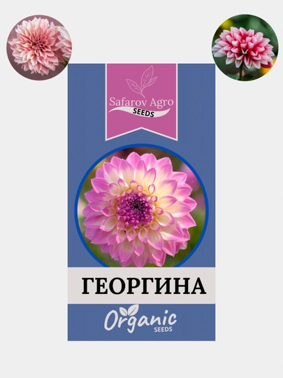 Семена цветов Цинния, Портулак, Гвоздика, Клеома, Георгина. Сальвия, семя — СЕМЕНА2-СЕМЦВ5-ИНДИГО