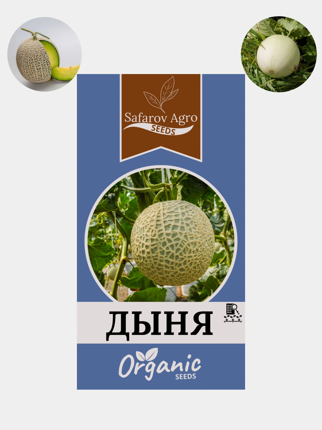 Семена дыни