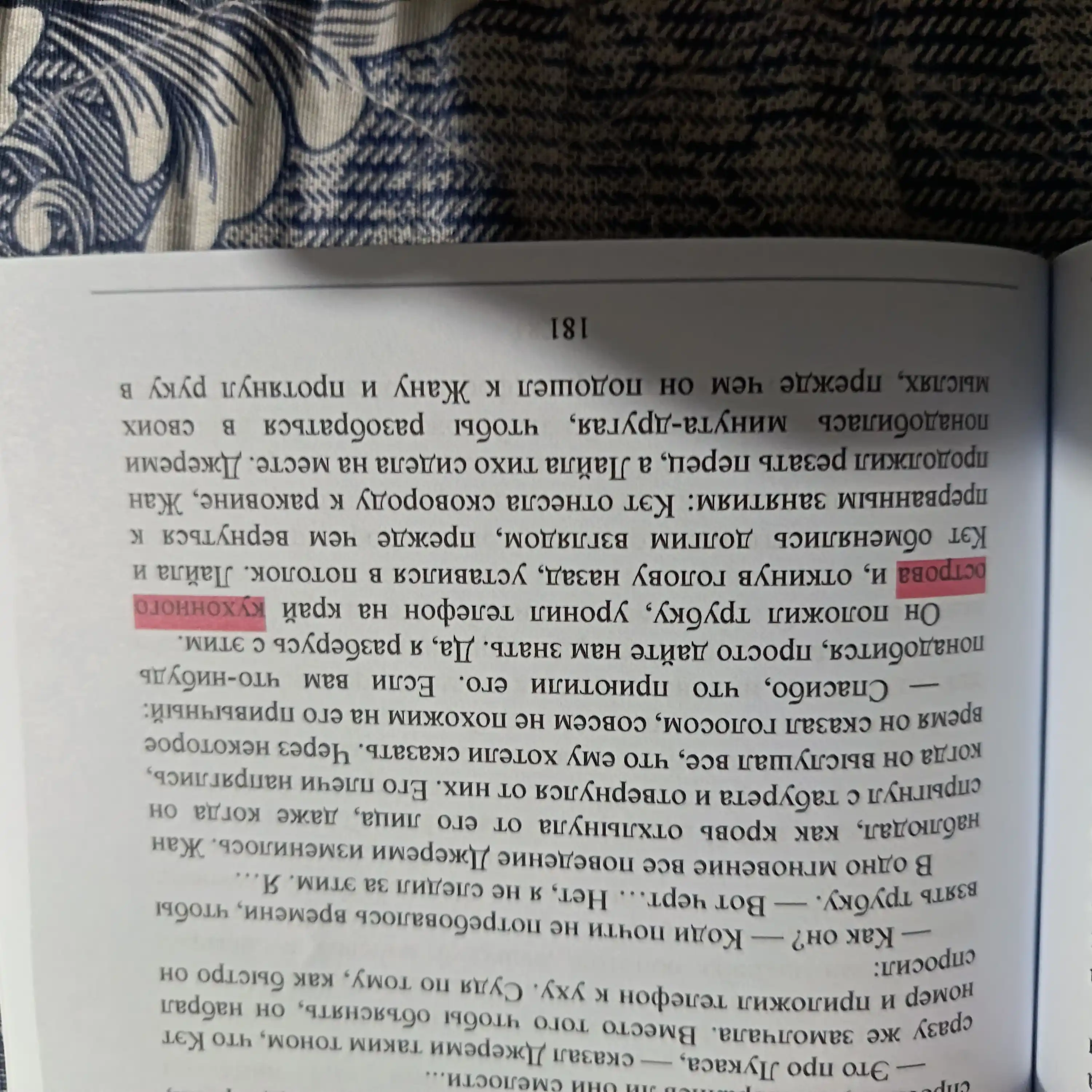 Солнечный Корт, Нора Сакавич