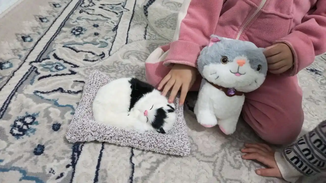 Мягкая игрушка кошка Страйп, 25 см, с декоративным ошейником