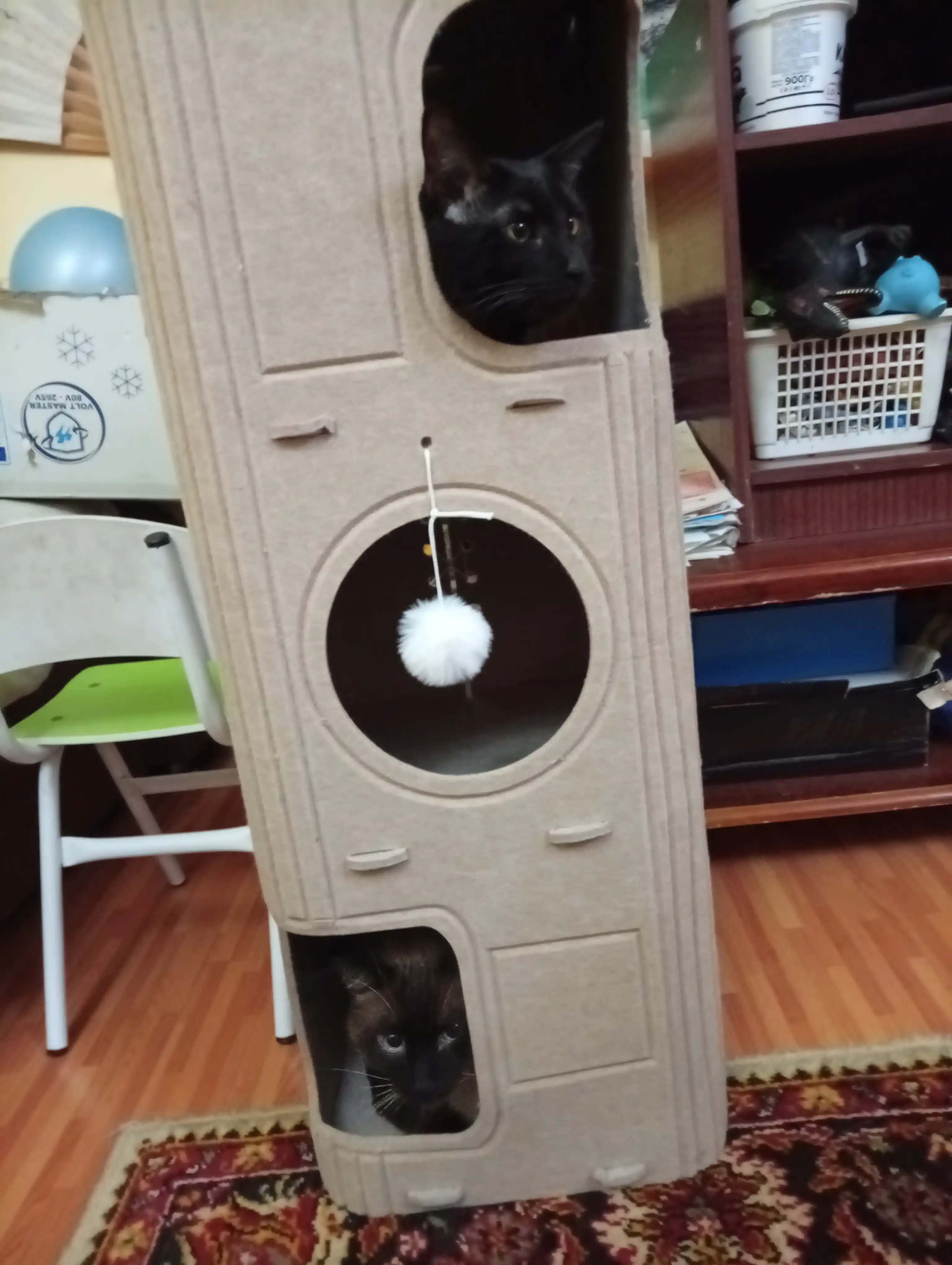 Кошачий дом