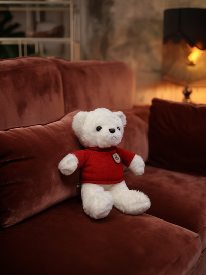 Yumshoq peluş o‘yinchoq Mishka Teddi 40 sm - 