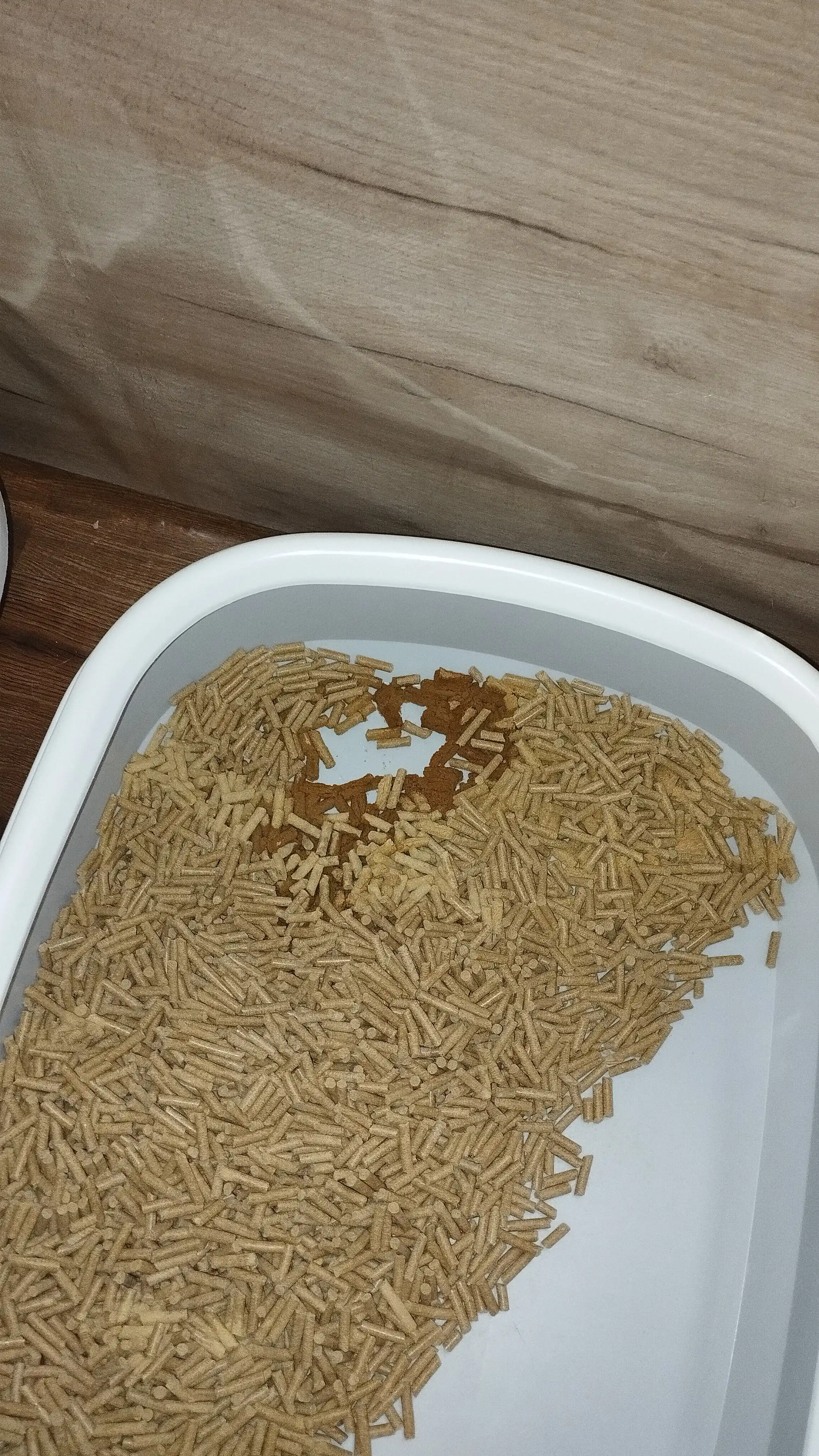 Uy hayvonlar tuvaklari uchun to'ldiruvchi BioPetto, 10 kg