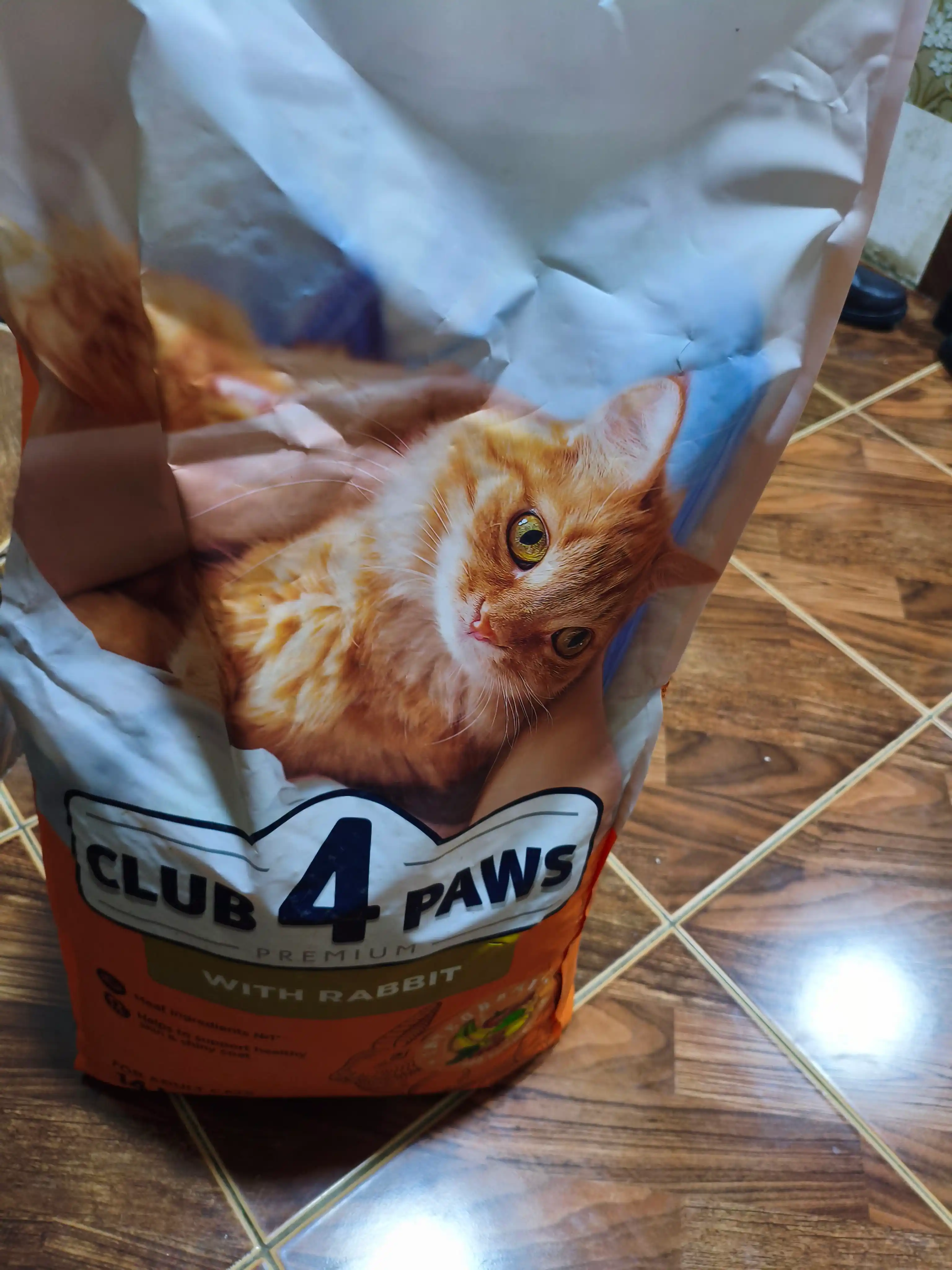 Club 4 Paws mushuklar uchun quruq yem quyon go'shti bilan, 14 kg