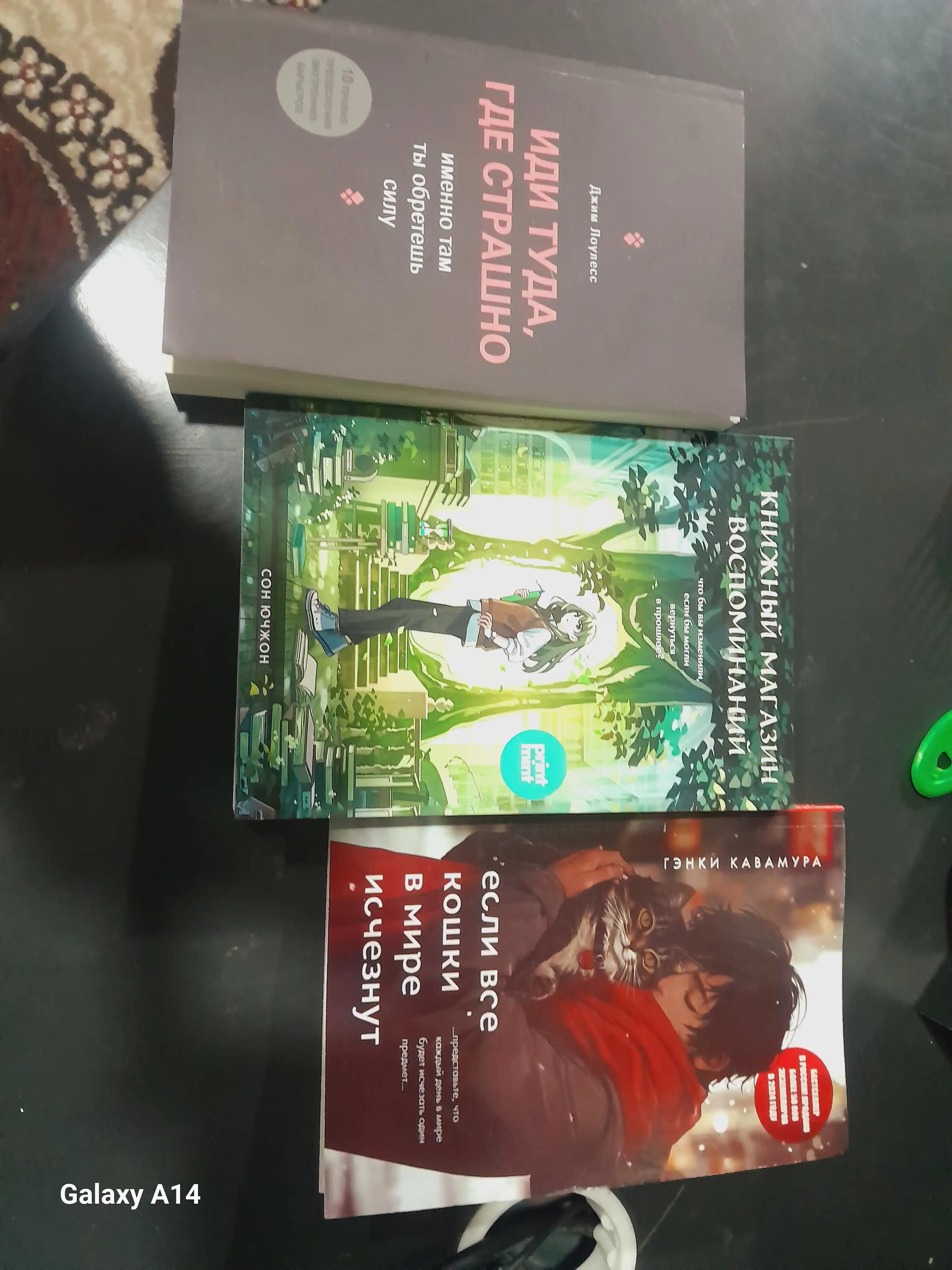 Yesli vse koshki v mire ischeznut, Genki Kavamura