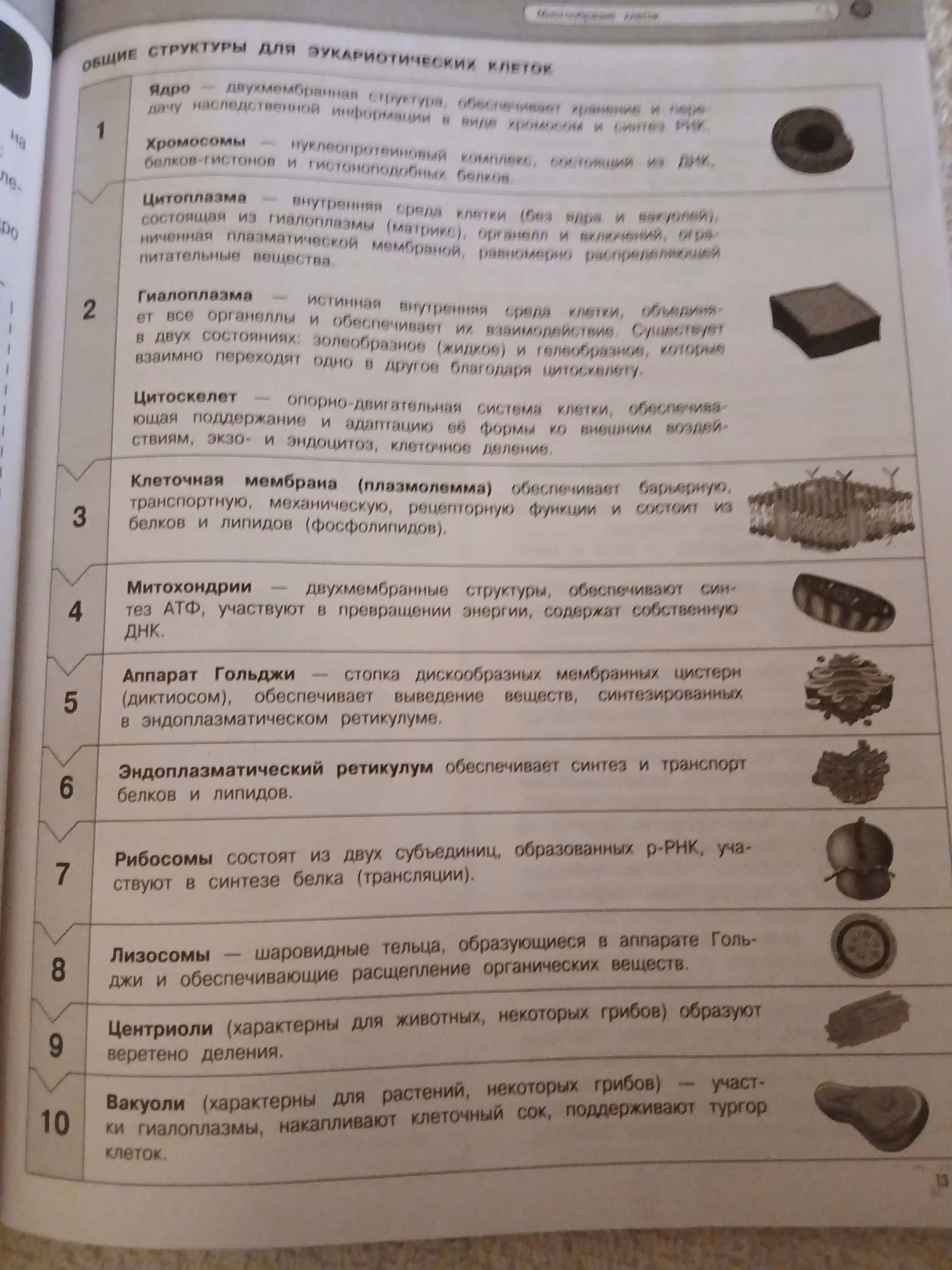 Биология. О. Ч. Мазур, Т. В. Никитинская
