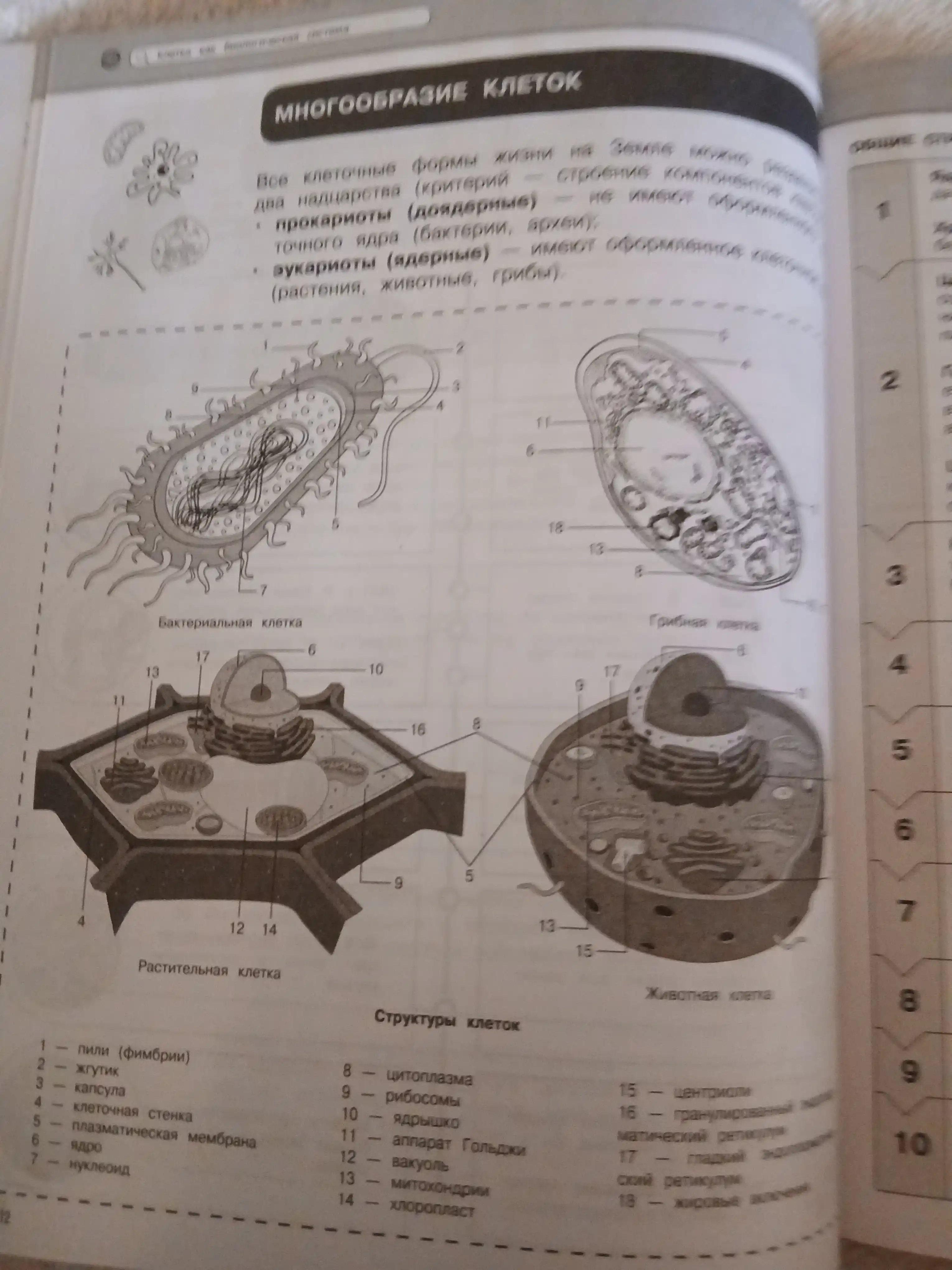 Биология. О. Ч. Мазур, Т. В. Никитинская