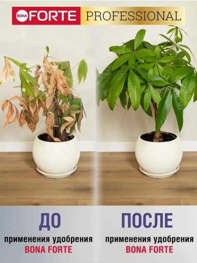 Удобрение Bona Forte для декоративно-лиственных растений (жидкое, концентрат)