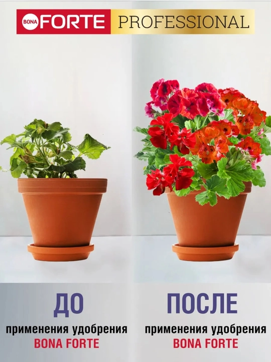 Удобрение Bona Forte для декоративно-цветущих растений (жидкое, концентрат)